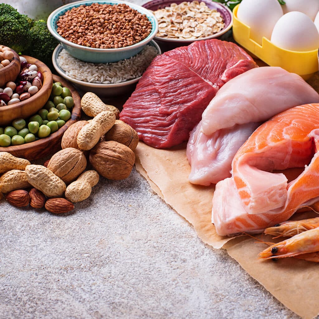 Healthy sources of food that provide the macro proteins
