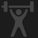 TP_icon_weights